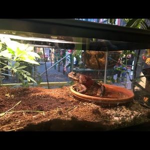 Meet your Posher, Nate